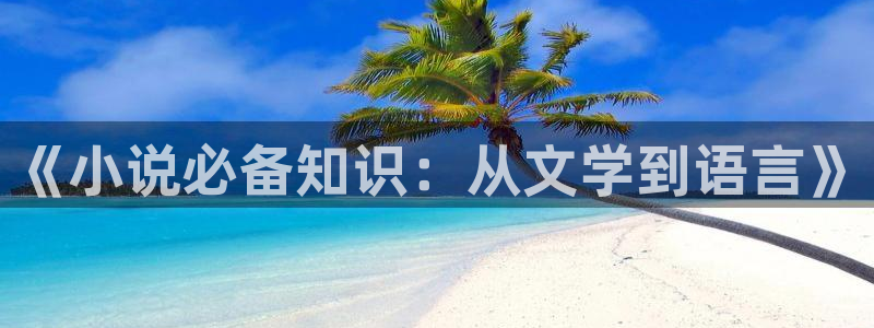 杀破狼小说txt下载书包网：《小说必备知识：从文学到语言》