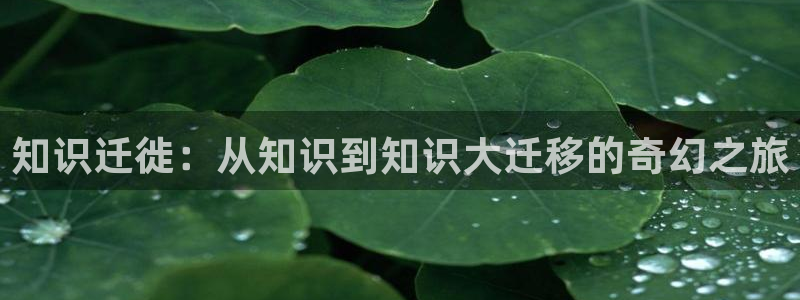 都市奇缘txt书包网下载：知识迁徙：从知识到知识大迁移的奇幻之旅