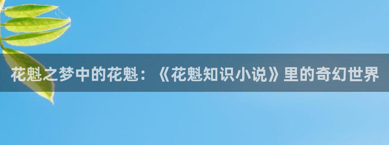 降服冰山美人完整小说书包网：花魁之梦中的花魁：《花魁知识小说》里的奇幻世界